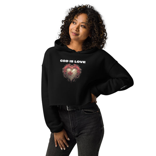 DeAndre Ivory Anti-world Christian Woman anti-world Valentines day God is love crop Hoodie