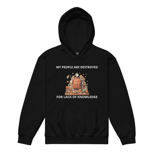 DeAndre Ivory Anti-world Christian back to school TeeYouth hoodie