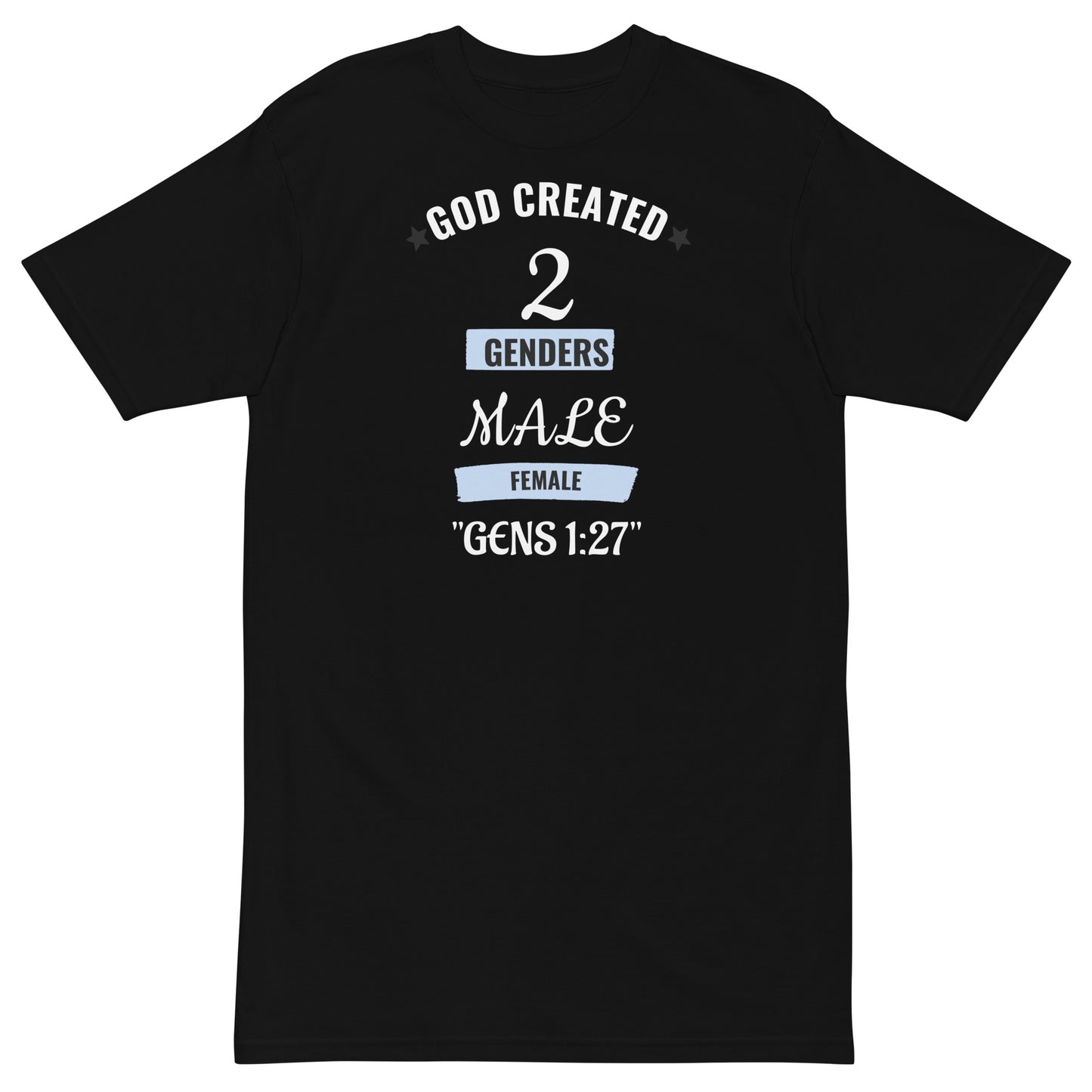 DeAndre Ivory Anti-world Christian unisex God created 2 genders tee-shirt