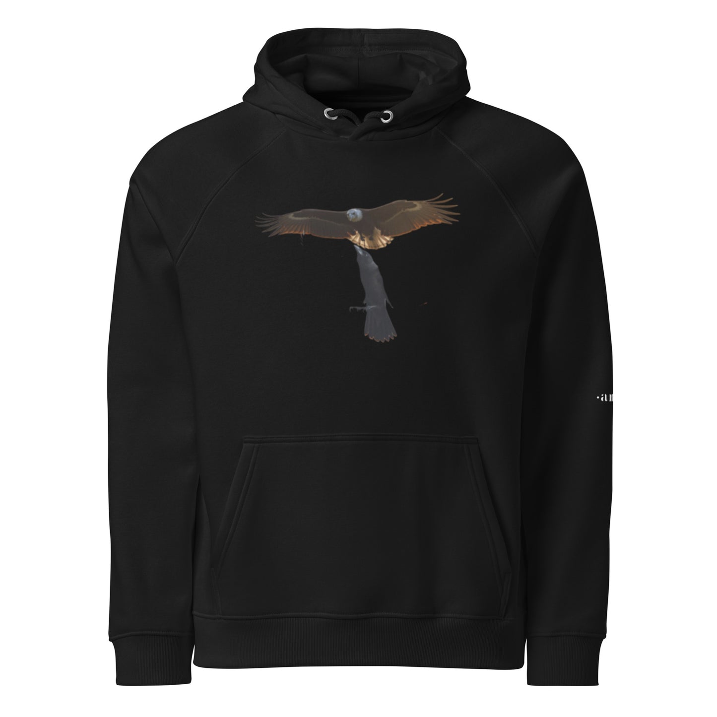 DeAndre Ivory Anti-world Christian unisex Rise above hoodie!