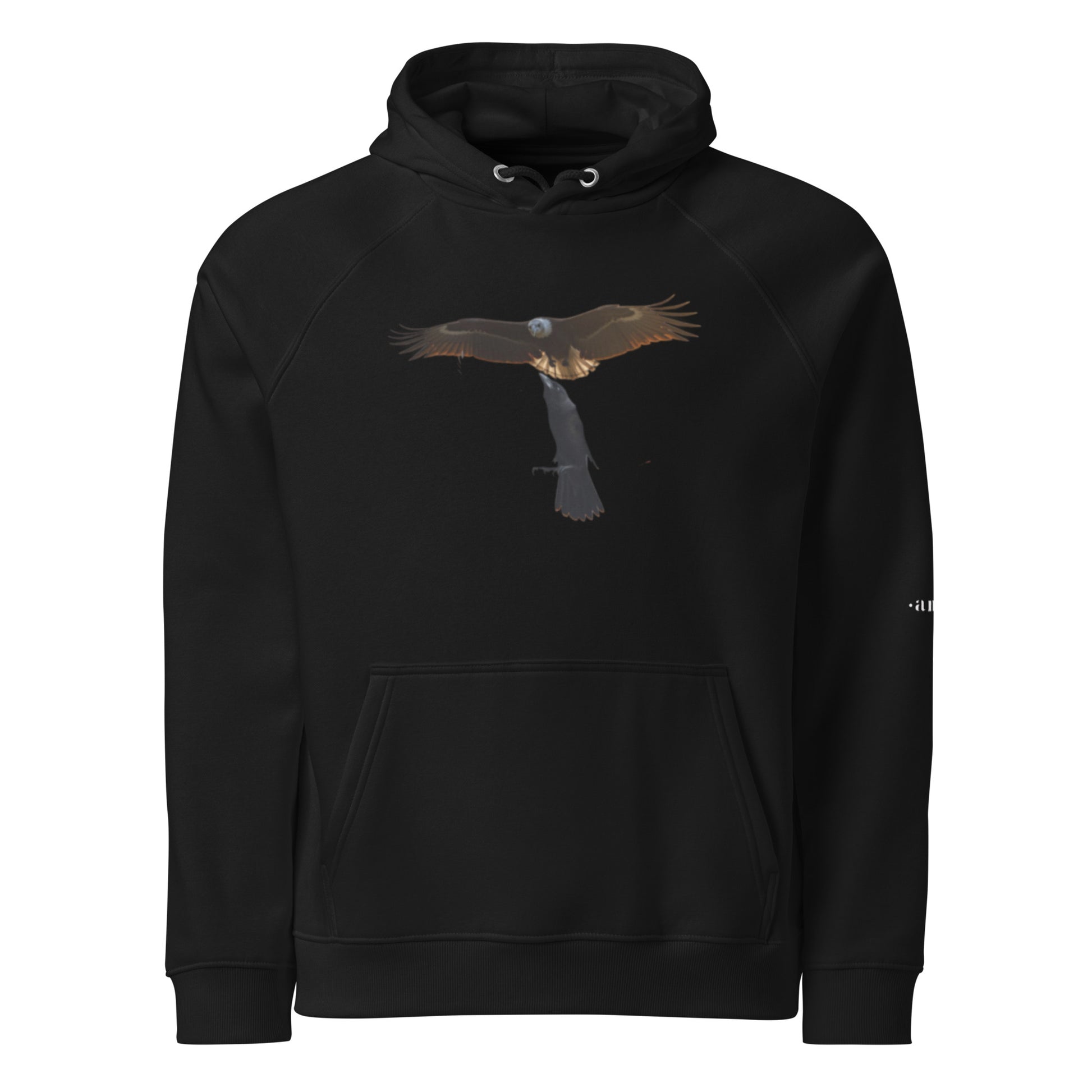 DeAndre Ivory Anti-world Christian unisex Rise above hoodie!